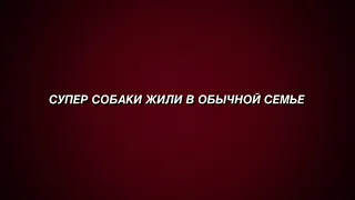 Трейлер / ФИЛЬМА СУПЕРСОБАКИ | 2021