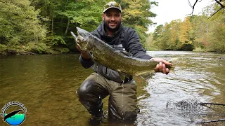 Easy Salmon and Steelhead Fishing Setup for Salmon River Pulaski