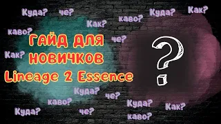 Гайд для Новичков lineage 2 essence 2023 | Ч.3 Камни, Агатионы, Талисманы, СА и Внутрянка!