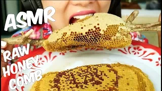 ASMR Raw Honey Comb (EXTREME STICKY EATING SOUNDS) No Talking | SAS-ASMR