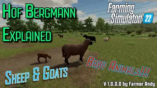 👨🏼‍🌾 FS22 Hof Bergmann Explained 👨🏼‍🌾 Sheep & Goats