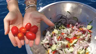 Ceviche On The Boat! | Mangrove Snapper Catch Clean Cook