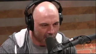 Joe Rogan - Everything is Connected