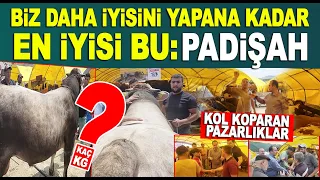 DEV KURBANLIK PADİŞAH! Ankara Yenimahalle Yakacık Kurban Pazarı 2023 Kurbanlık Fiyatları