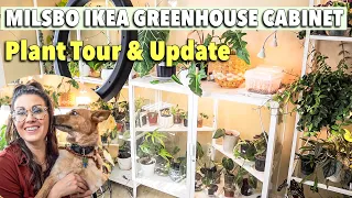IKEA Greenhouse Cabinet Milsbo Plant Tour, Review & Update