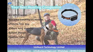2023 Best Hunting dog gps tracker 4G with lifetime free app long standby