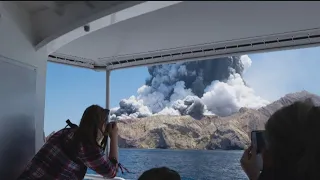 New Zealand island shows no signs of life after volcano erupts