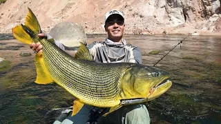 CRISTIAN VANEGAS Golden Fishing in Bolivia 2015 Pesca de Dorado en Bolivia