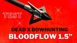 BLOODFLOW 1.5" by Dead X Bowhunting: ONE OF THE BEST SCORES EVER