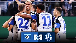 Hamburger SV - FC Schalke 04 5:3 | Tore & Highlights | Stadion Reaktion