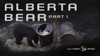 Alberta Spring Bear Part 1 | Southern Vanes: Season 3