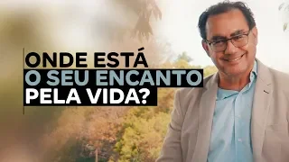 Onde está o seu encanto pela vida? | Dr. Augusto Cury