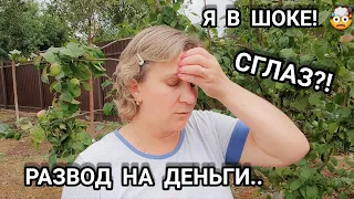 VLOG: ШОК!😱На работу не берут 😨КАК разводят на деньги?!💰Развод сервисных центров