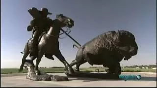 AMERICAN BISON - The Return of the Buffalo