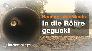 Rechnung verpennt - jetzt müssen alle zahlen! - Hammer der Woche vom 10.08.2019 | ZDF