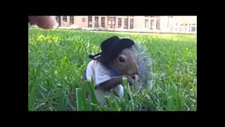 FUNNY ANIMALS COMPILATION 2013  EPIC VIDEOS!