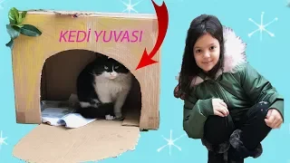 MASAL VE ÖYKÜ SOKAK KEDİLERİNE YUVA YAPTI! Funny Kids Videos - Cat Love