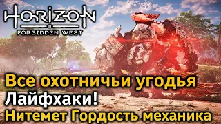 Horizon Forbidden West | Все охотничьи угодья | Лайфхаки | Как получить нитемет Гордость механика