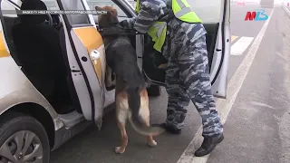 В рюкзаке у пассажира такси в Волгоградской области нашли героин