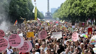 AFD-Demo in Berlin: Tausende Gegner und Anhänger demonstrieren | DER SPIEGEL