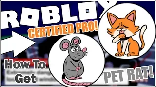 How to get the CERTIFIED PRO and PET RAT BADGES in BREAK IN! [ROBLOX]