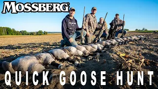 Quick Morning Goose Hunt | The Waterfowl Collective