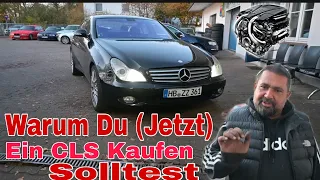 Warum Du (Jetzt) ein Mercedes CLS Kaufen solltest. Auf was man achten sollte. V8 500 Baby