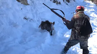 Aksiyon Dolu Muhteşem Domuz Avı / Amazing Action Packed Pig Hunt