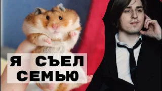 ЗАЧЕМ ЖИВОТНЫЕ ЕДЯТ СВОИХ ДЕТЕЙ? (Владимир Алипов)