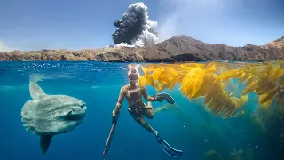Explosion while Snorkeling off Navy Island! *Calico Bass CCC*