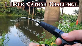 One Hour Catfishing Challenge! (Raw Shrimp)