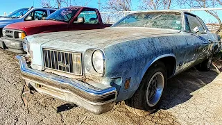 For Sale. $5000 Saves It. 1975 Oldsmobile Cutlass Junkyard Find