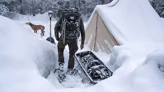 WINTER CAMPING in a Canvas Tent with My Dog using a Wood Stove for Heat and Cooking