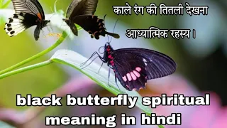 black butterfly meaning in hindi#blackbutterflies #blackbutterfly#lawofattraction #butterfly #viral