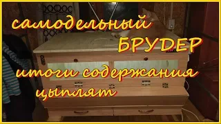 Самодельный брудер. Итоги содержания цыплят. Посмотри, не пожалеешь. DIY