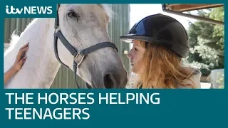 Equine therapy: How horses are helping teens' mental health | ITV News