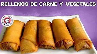 Rollos de primavera rellenos de carne y vegetales