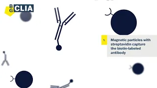 The CLIA immunoassay - How do kits work?