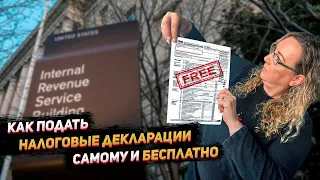 Как подать налоговые декларации самому и бесплатно