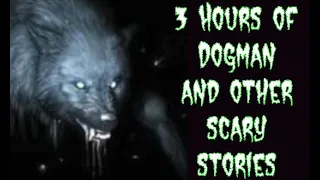 (E.18) HAPPY HALLOWEEN! Over Three Hours of Dogman and Other Scary Stories!