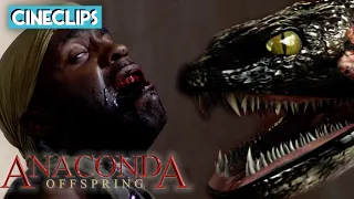 Brutal Anaconda Kill | Anaconda 3: Offspring | CineClips