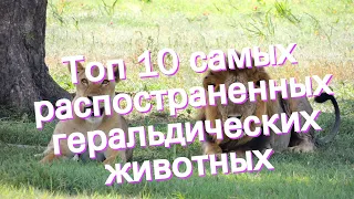 Топ 10 самых распостраненных геральдических животных