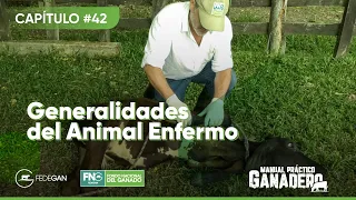 Cap 42 - Generalidades del Animal Enfermo #manualpracticoganadero