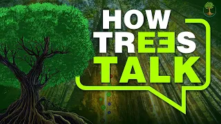 How Trees Talk