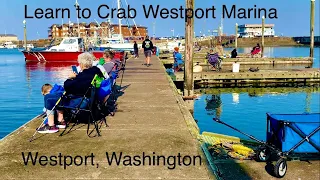 Westport Marina Crabbing