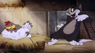 Tom & Jerry   Classic Cartoon   Fine Feathered Friend 720p