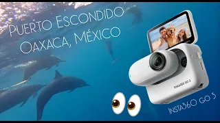 Dolphin Watching in Puerto Escondido, Oaxaca, Mexico using an Insta360 Go 3