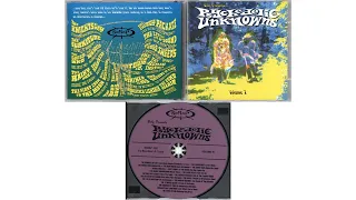 Psychedelic Unknowns Volume 7