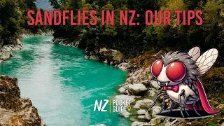 Surviving Sandflies in New Zealand: Tips & Tricks for Tourists