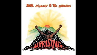 Bob Marley & The Wailers - Could You Be Loved (Instrumental)